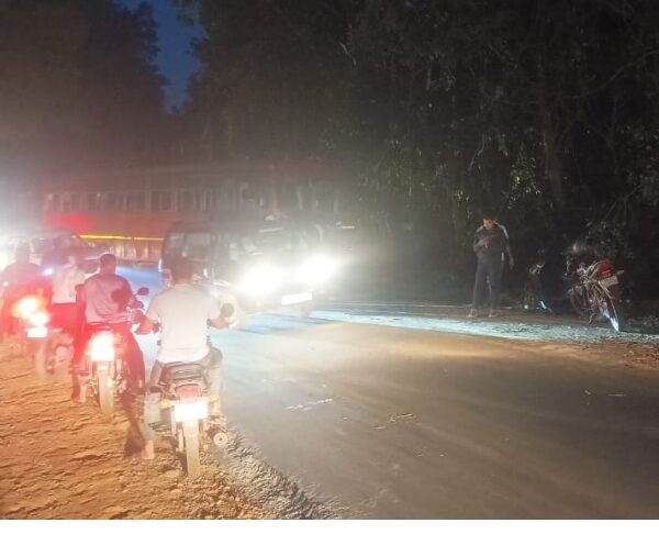 एस.टी. बसला दुचाकीची धडक