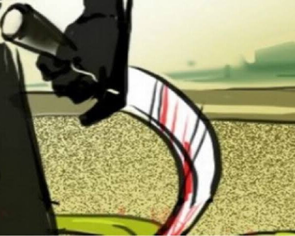 पतीकडून पत्नीला जीवे मारण्याचा प्रयत्न