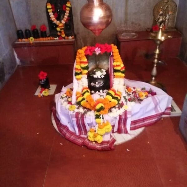 नागवे गावचे ग्रामदैवत ‘श्री देव नागेश्वर’ जाणार कुणकेश्वर भेटीला