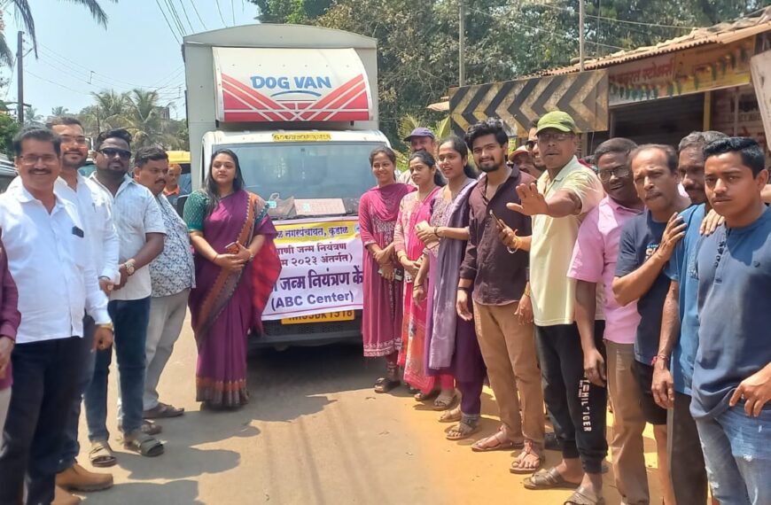 कुडाळ शहरात मोकाट कुत्रे पकड…