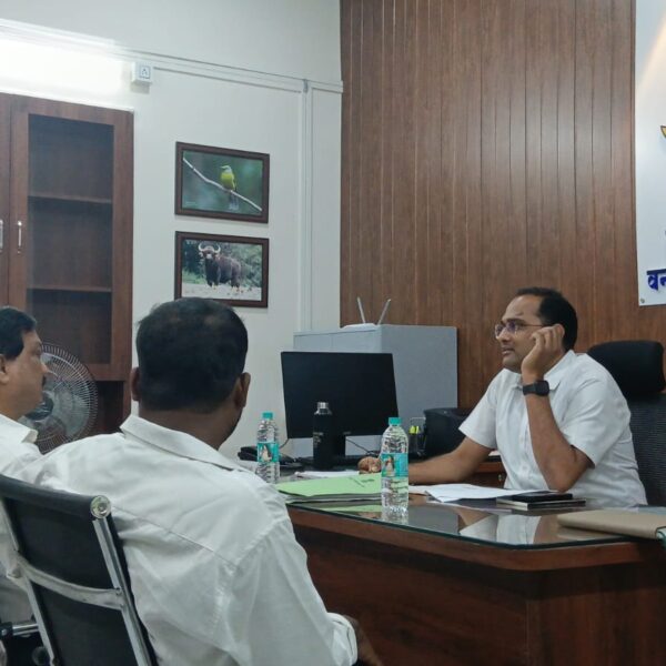 वन शहिदांचे स्मारक आणि ध्वजस्तंभ उभारण्यासाठी “ती” वृक्षतोड…