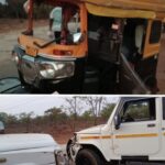 साप पकडताना सर्पमित्राला सर्पदंश