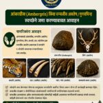 अंबरग्रीस, वन्यजीव अवशेष किंवा मृगय चिन्हे स्वेच्छेने जमा करावीत – उपवनसंरक्षक मिलीश शर्मा