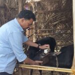 झाडे आणि आईपेक्षा कोणीही मोठे नाही
