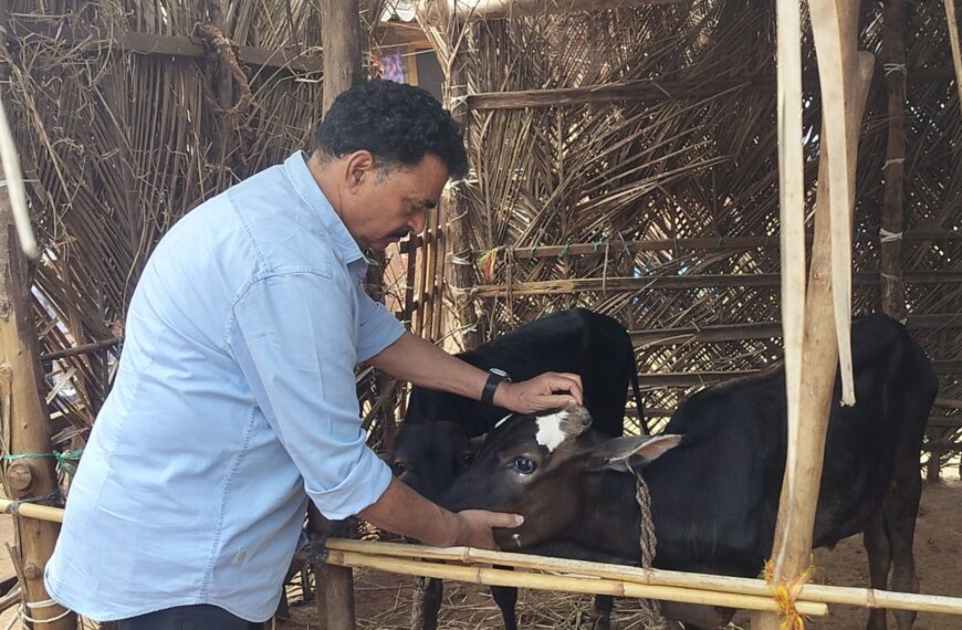 झाडे आणि आईपेक्षा कोणीही मोठे&hellip;