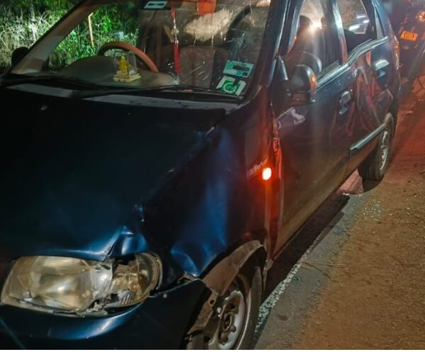 धावत्या कारला गवारेड्याची धडक