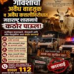 गोवंशाची तस्करी करणाऱ्यांना ‘मकोका’ लागणार