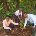 कनेडी प्रशालेत जागतिक पर्यावरण दिनानिमित्त वृक्ष लागवड