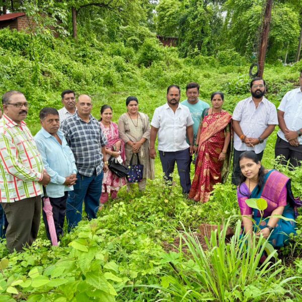 पालकमंत्री नितेश राणे यांच्या वाढदिवसानिमित्त महामार्गालगत वृक्षारोपण