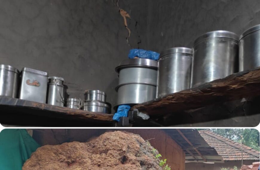 वालावल येथे डोंगरातील भला मोठा…
