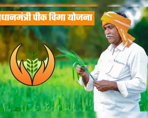 ‘एल निनो’च्या पार्श्वभूमीवर जिल्ह्यातील शेतकऱ्यांनी ३१ जुलै पूर्वी भात व नाचणी पिकांचा विमा घेण्याचे आवाहन