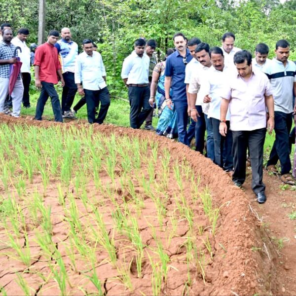 पालकमंत्री नितेश राणे शेतकऱ्यांच्या बांधावर