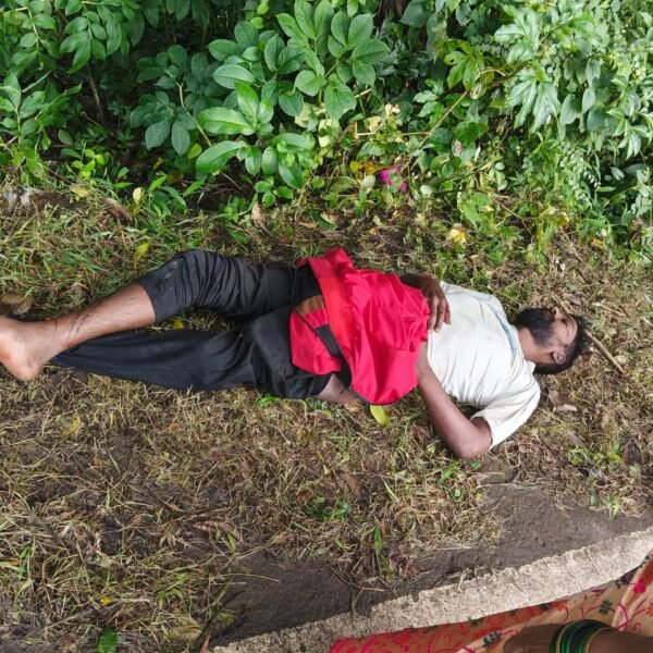 गाडीवरील ताबा सुटून दुचाकीस्वार पुलाखाली कोसळला
