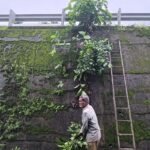 महामार्गावरील झाराप ते बांदा या दरम्यान उड्डाणपुलाच्या स्वच्छतेला सुरुवात