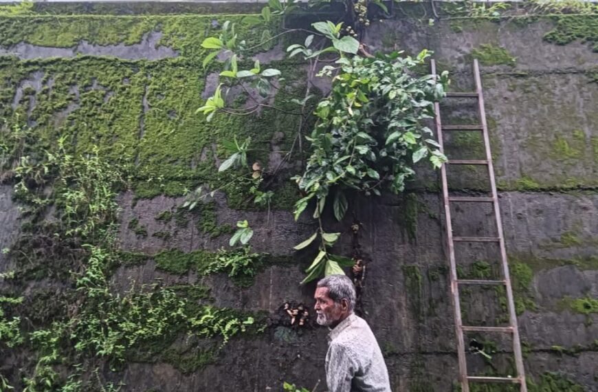 महामार्गावरील झाराप ते बांदा या…