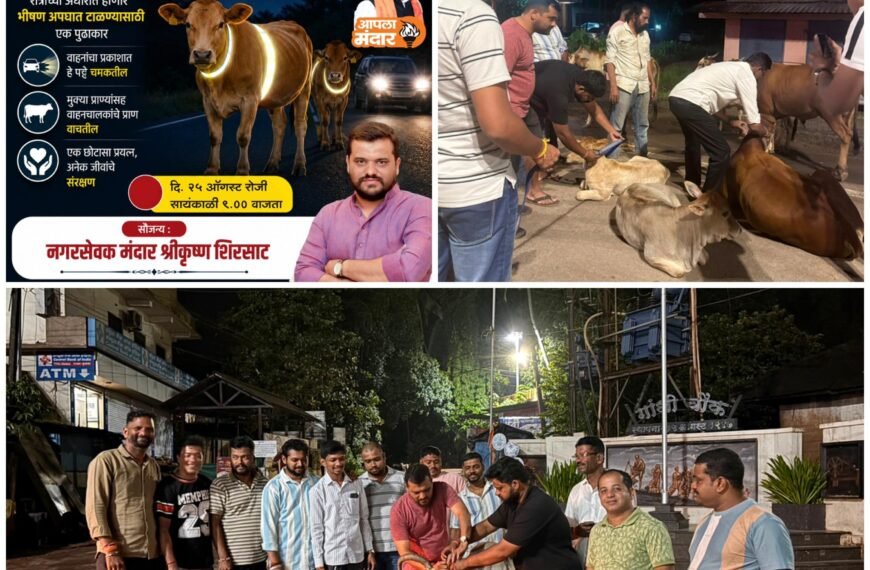 कुडाळमध्ये मोकाट जनावरांसाठी ‘रिफ्लेक्शन पट्टे’…