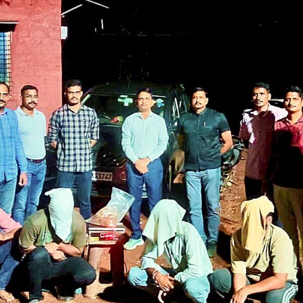 २ किलो व्हेल माशाच्या उलटीसह तब्बल २ कोटी ४६ लाखांचा मुद्देमाल जप्त