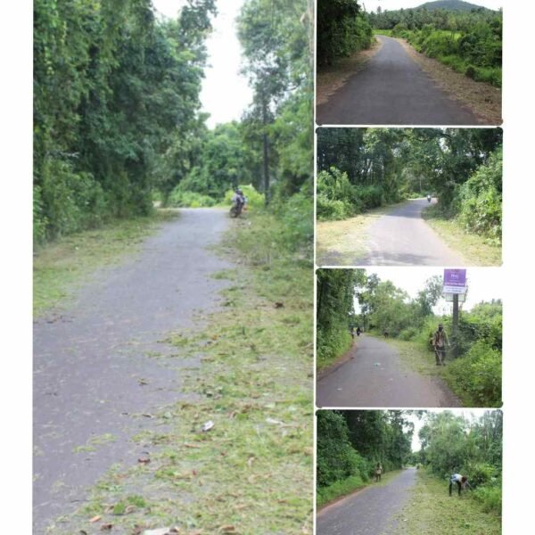 पणदूर – सुकळवाड मार्गावर दुतर्फा वाढलेली झाडी अखेर स्वच्छ