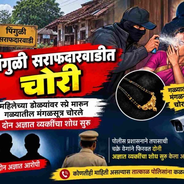 पिंगुळी सराफदारवाडीत चोरी