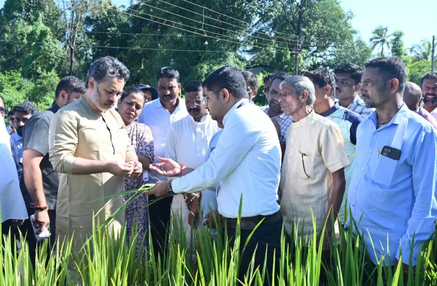 आमदार निलेश राणे यांनी केली…