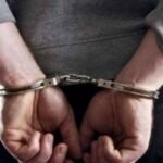 कुडाळमध्ये बैलाची निर्दयी वाहतूक