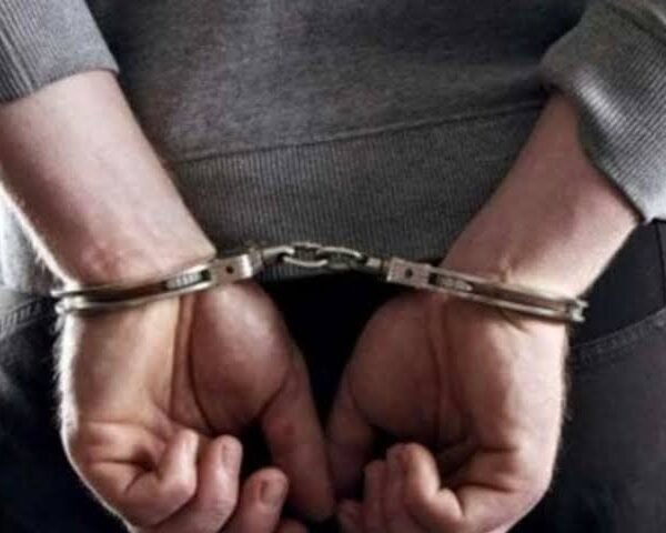 कुडाळमध्ये बैलाची निर्दयी वाहतूक